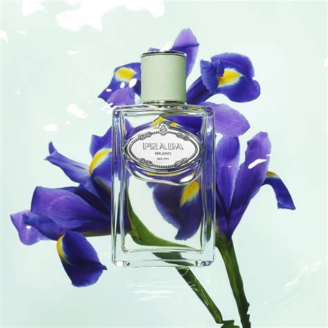 sephora prada iris perfume|prada iris perfume women.